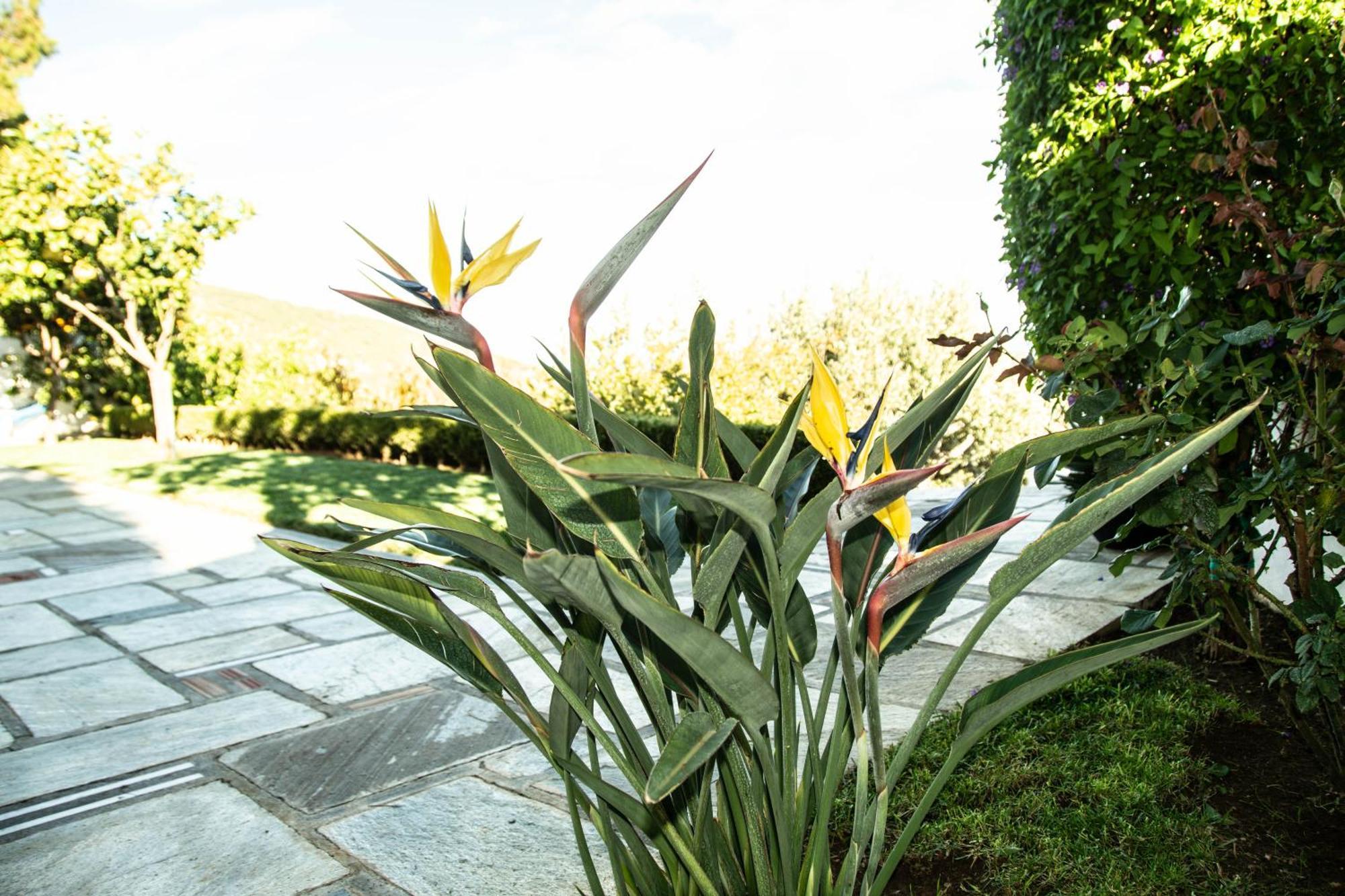 Maya'S Home Dhaskalion Bagian luar foto