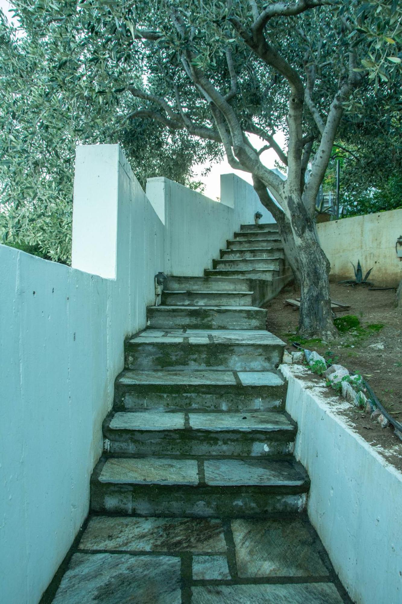 Maya'S Home Dhaskalion Bagian luar foto